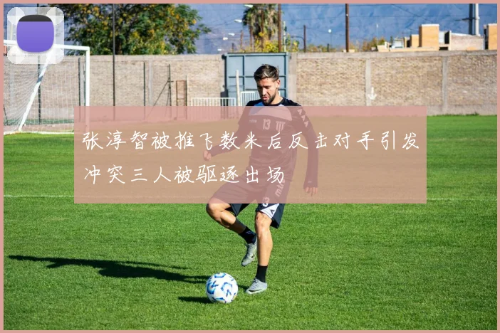 张淳智被推飞数米后反击对手引发冲突三人被驱逐出场